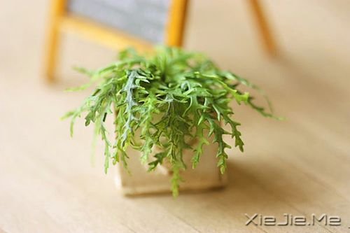 晚安心语:趁我们还有呼吸,去做你想做的事吧 (2)