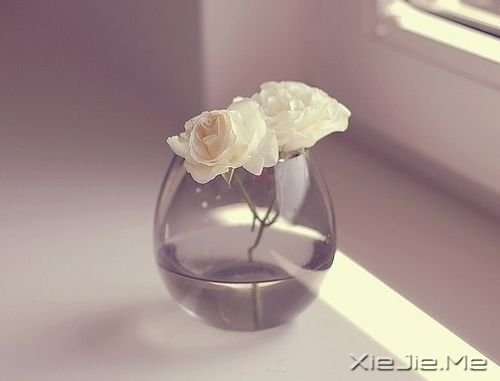 �簲�������̫�̣�ȥ����Щ����õ��� (3)