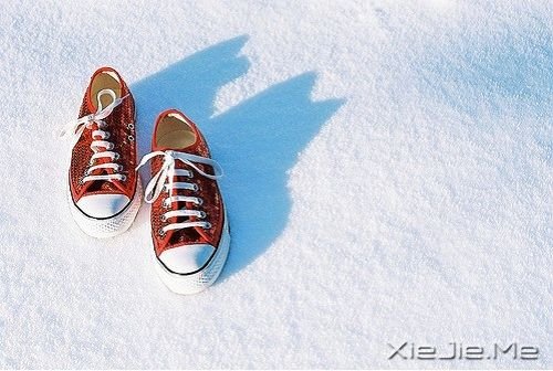 晚安心语:眼泪是心里的毒,流出来就好了 (10)