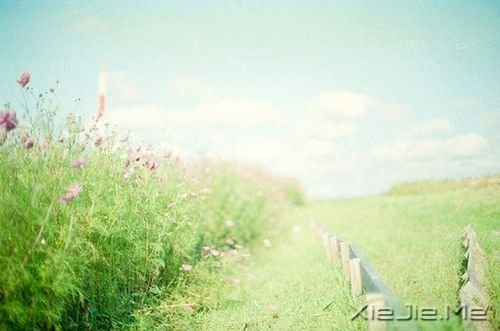 你存在,整个世界才存在 (3) 小清新图片 (3)