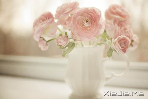 ����Ҳ���ô�ں��������򵥵ö� (6)