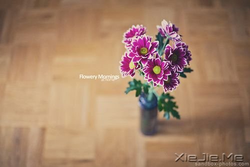 我们渴望被理解,又害怕被看穿