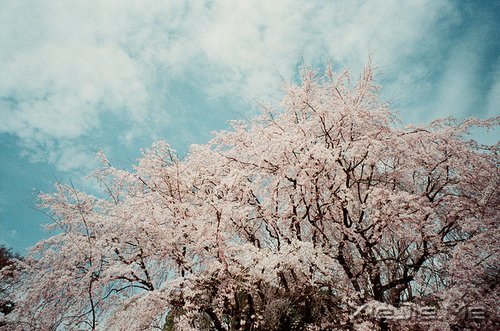 常常观自心,便会更智慧 (3)