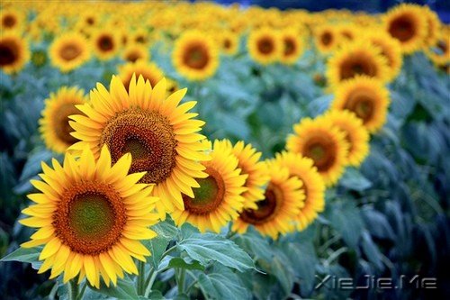 һ�������ˣ�����ȥԶ�� (10)