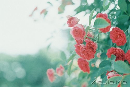 爱能让人一夜长大