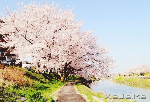 2014����12�������ı��Լ� (2)