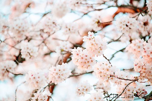 ������Լ���10��Լ�� (5)