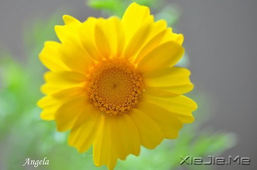 读懂人生,富有哲理的座右铭 (6)