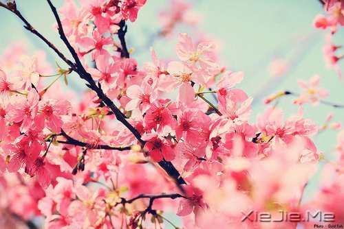 写人仅两笔,做人需一生 (5)