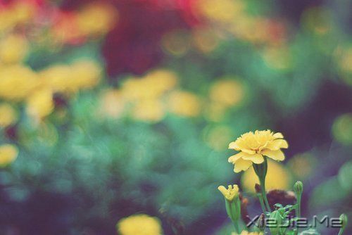 �����Լ������κ��ź� (8)