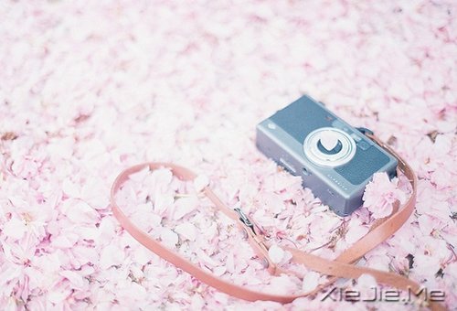 自己喜欢的日子,就是最美的日子 (8)