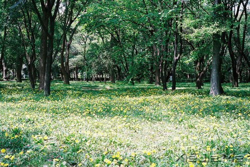 如果某天你偶尔想起,如果某天你偶尔想起 (14)