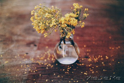 ʱ���������ҵ�����ֲ�����ʱʢ�����ߺ����