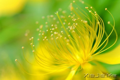 �ഺ��־���£�����������룬��һ��Ҫ������