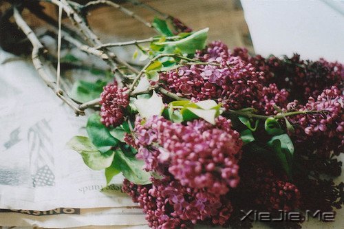 ���֣���ζ������ҩ (3)