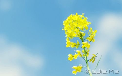 ��βè�Ĺ���