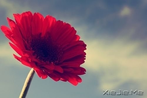 ѧ����ԣ�ѧ������