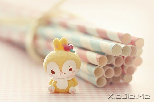 去做你想做的事吧