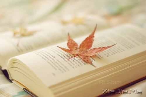 ��ʲô�����ˣ�����Ȩ���Լ�